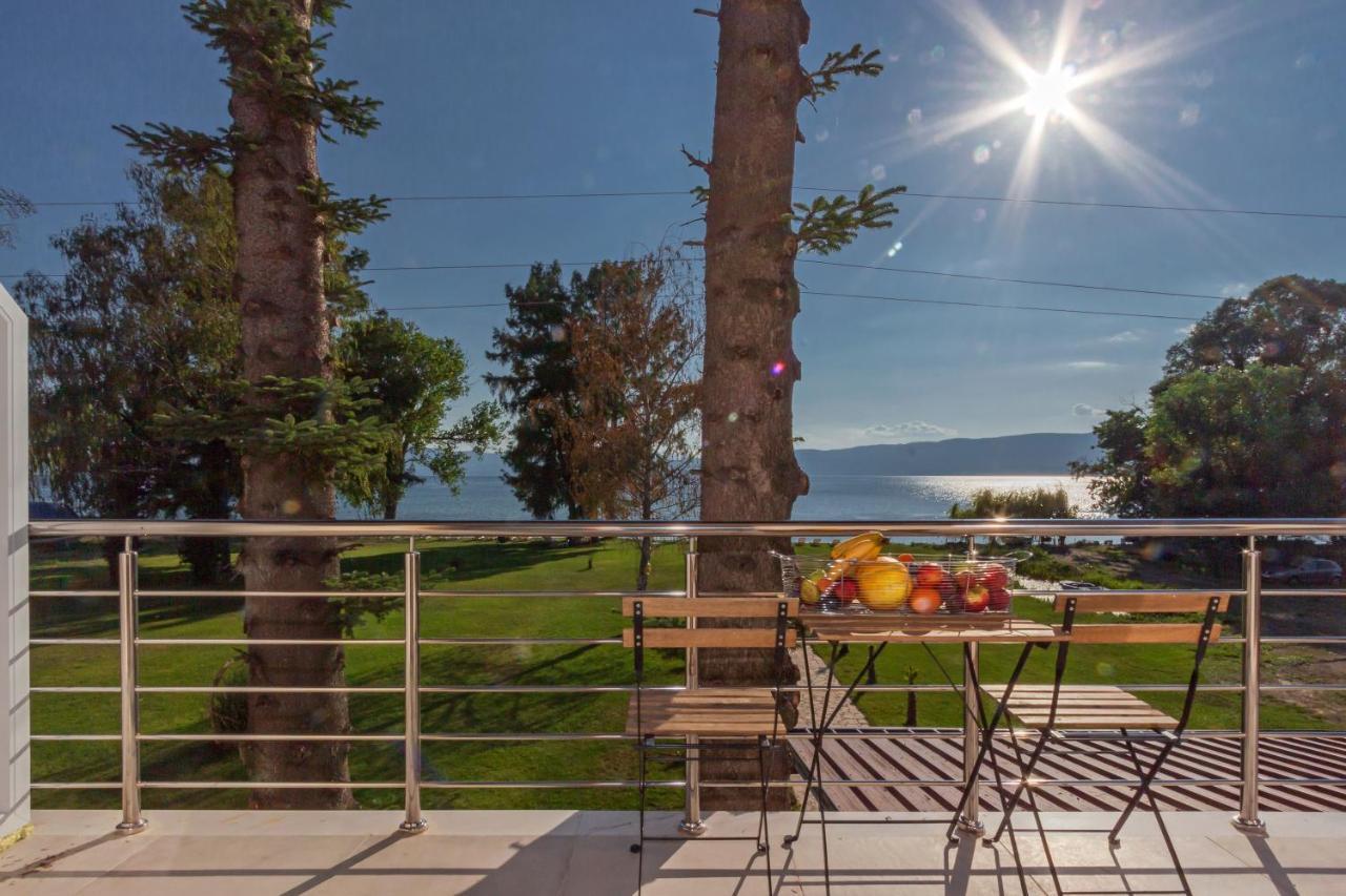 Green Space Hotel Ohrid Bagian luar foto